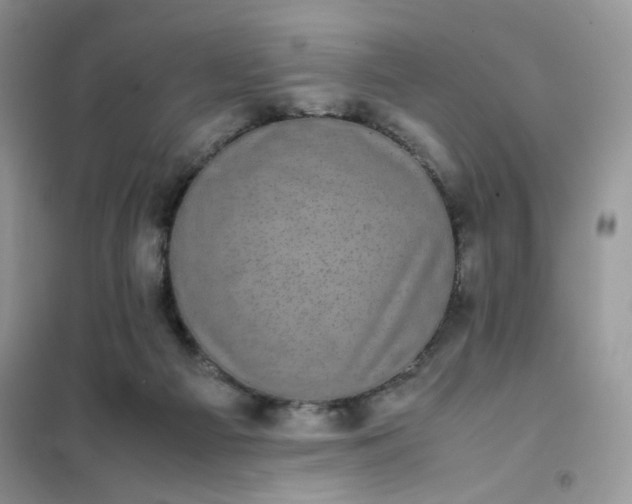 X0000102030121200808011456