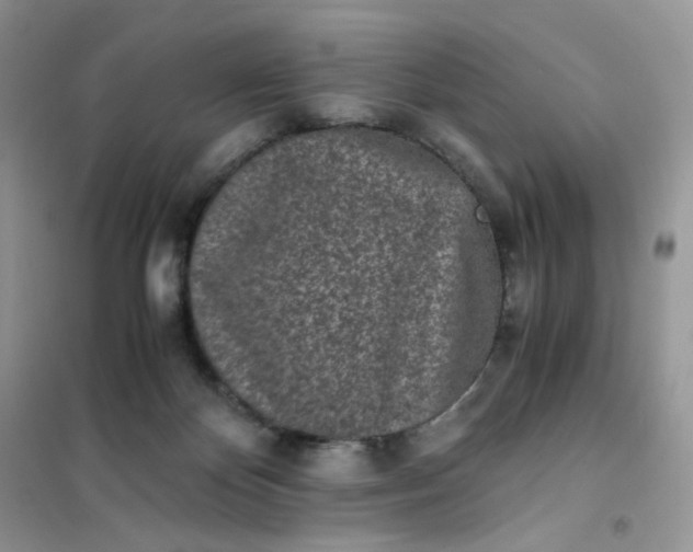 X0000102030124200808011456