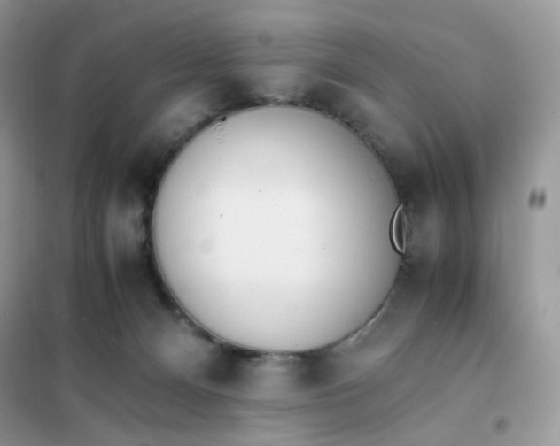 X0000102030128200808011456