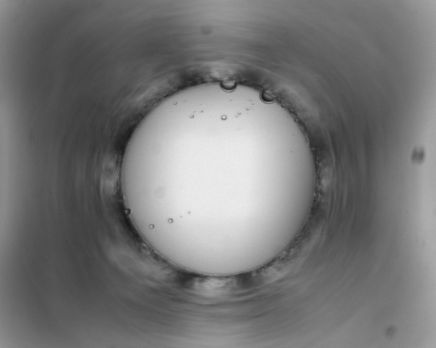 X0000102030129200808011456