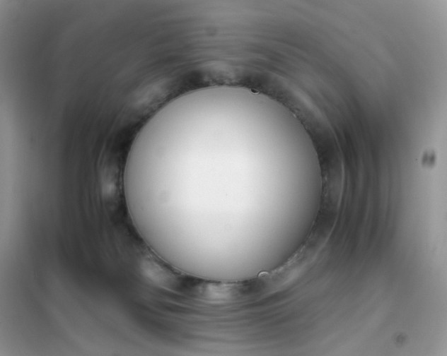 X0000102030134200808011456