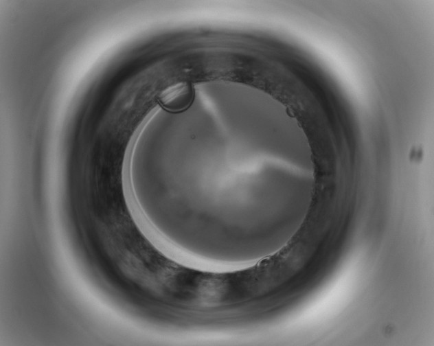 X0000102030143200808011456