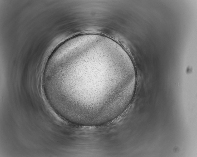 X0000102030145200808011455