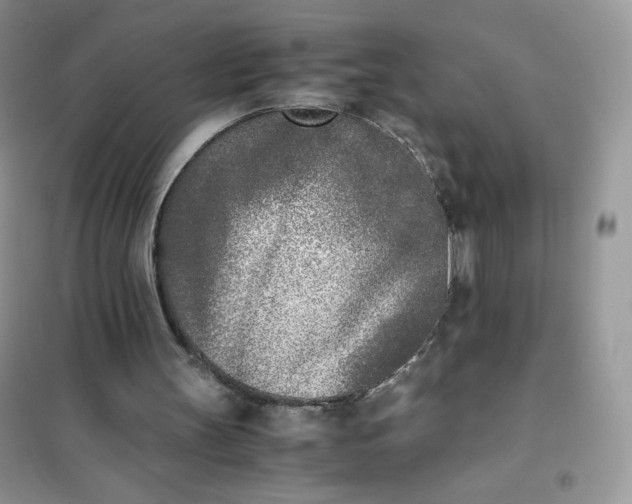 X0000102030147200808011455