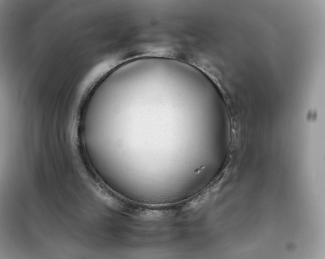 X0000102030149200808011455