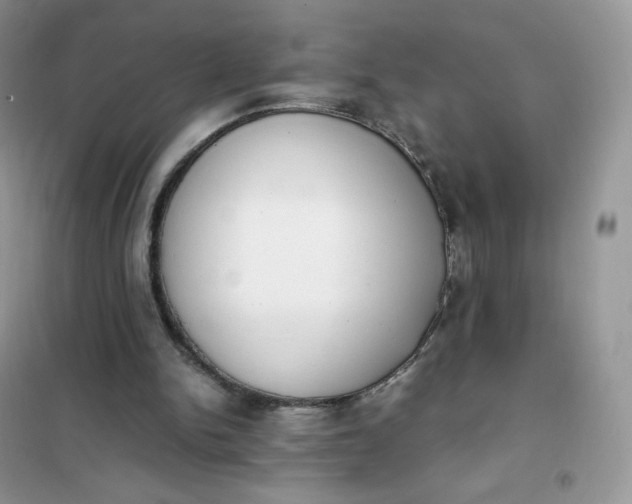 X0000102030150200808011455