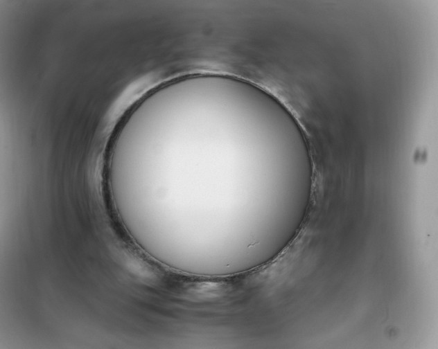 X0000102030151200808011455