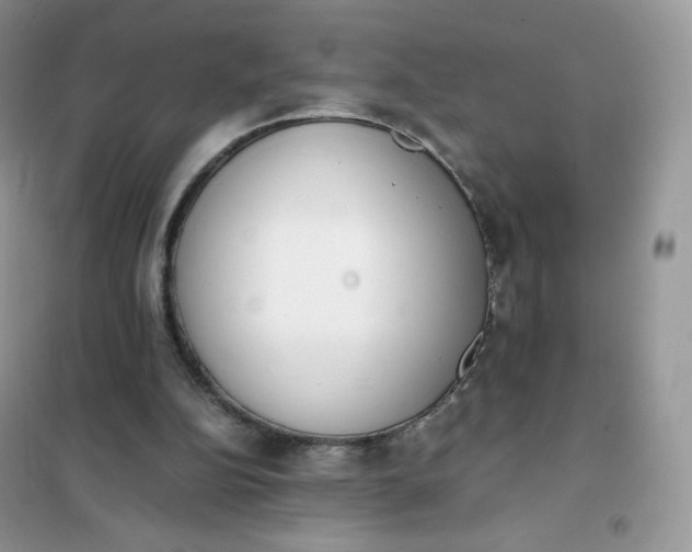 X0000102030152200808011455