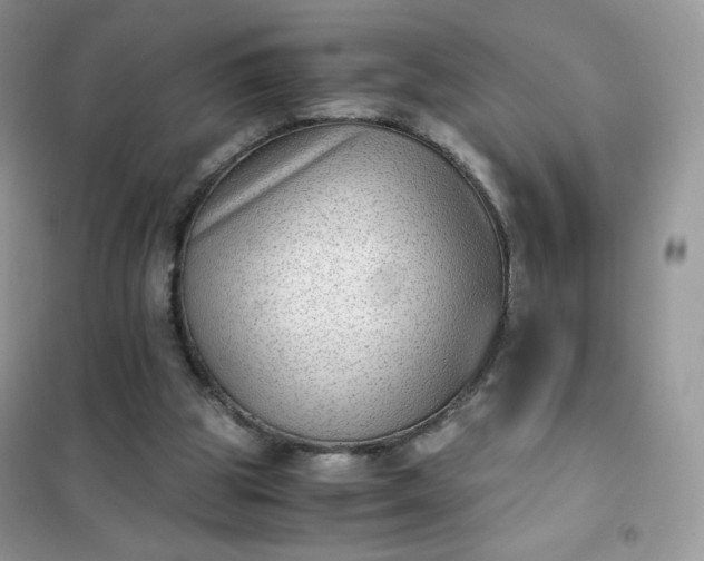 X0000102030153200808011455