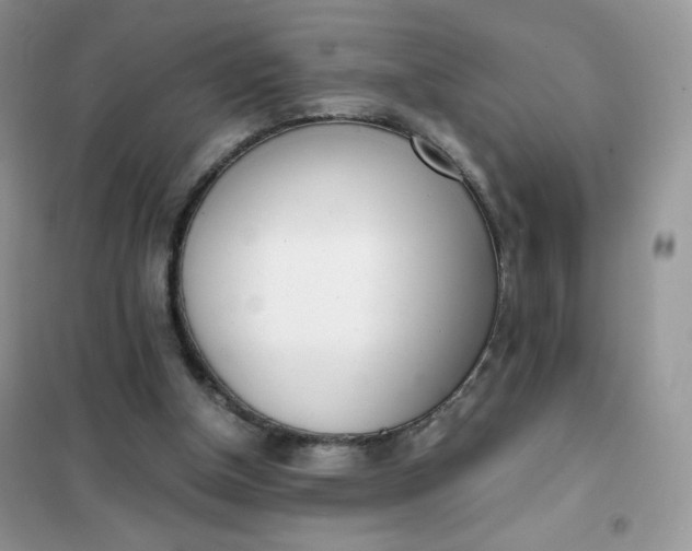 X0000102030154200808011455