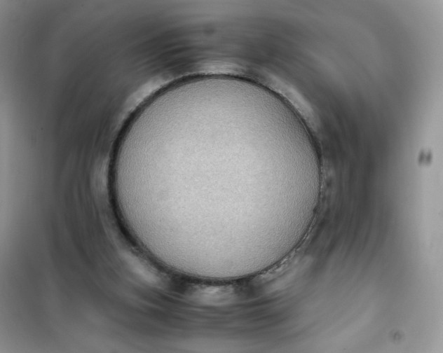 X0000102030155200808011455