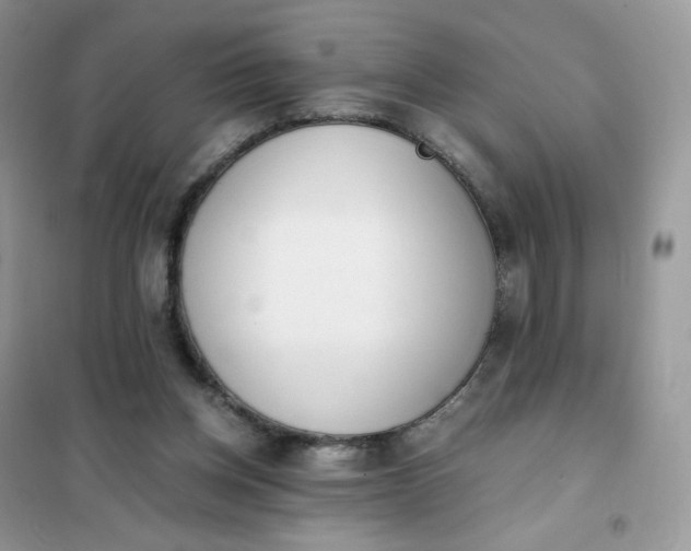 X0000102030158200808011455