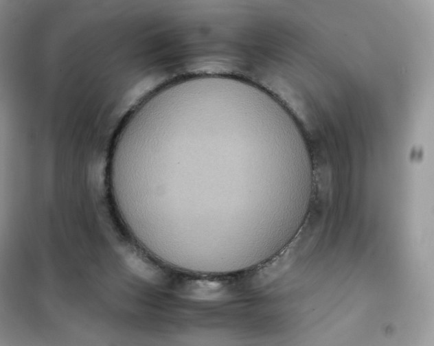 X0000102030159200808011455