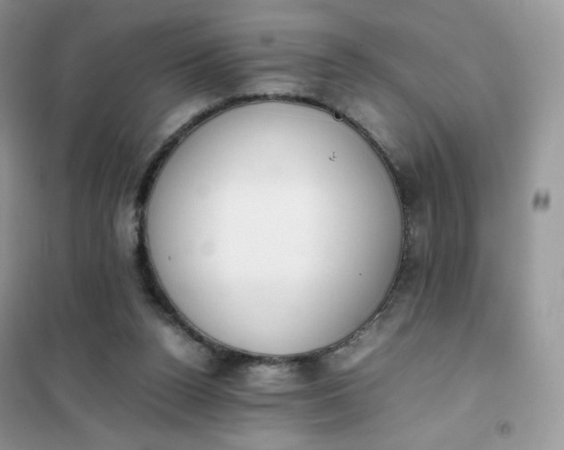 X0000102030160200808011455