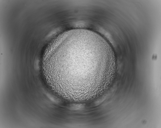 X0000102030161200808011455