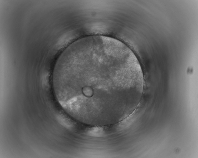 X0000102030162200808011455