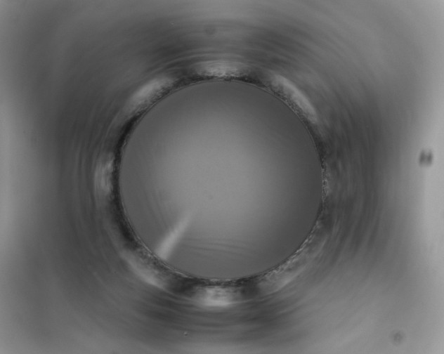 X0000102030163200808011455