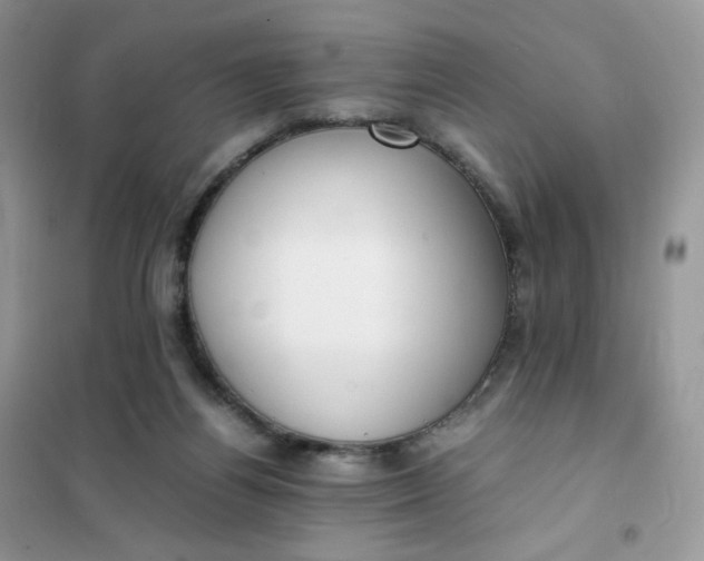 X0000102030164200808011455