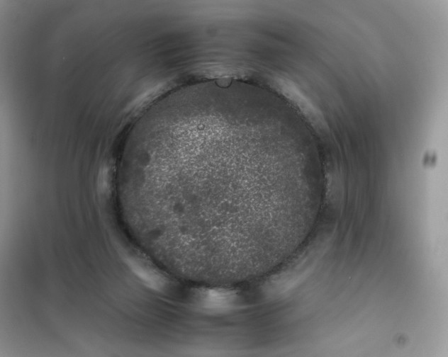 X0000102030165200808011456