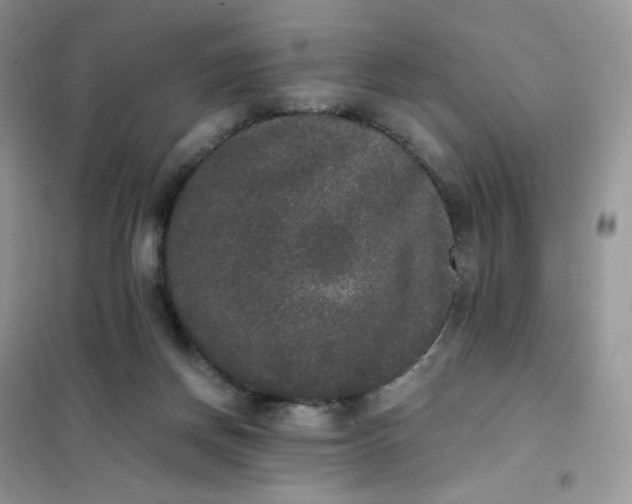 X0000102030166200808011456