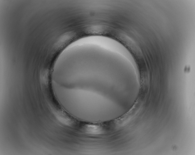 X0000102030167200808011456