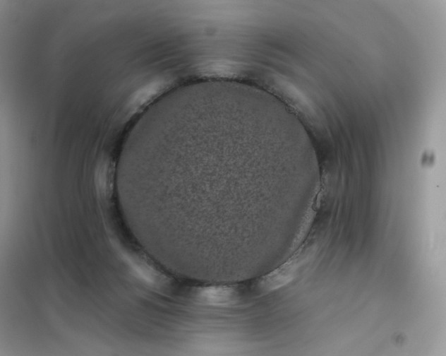 X0000102030168200808011456