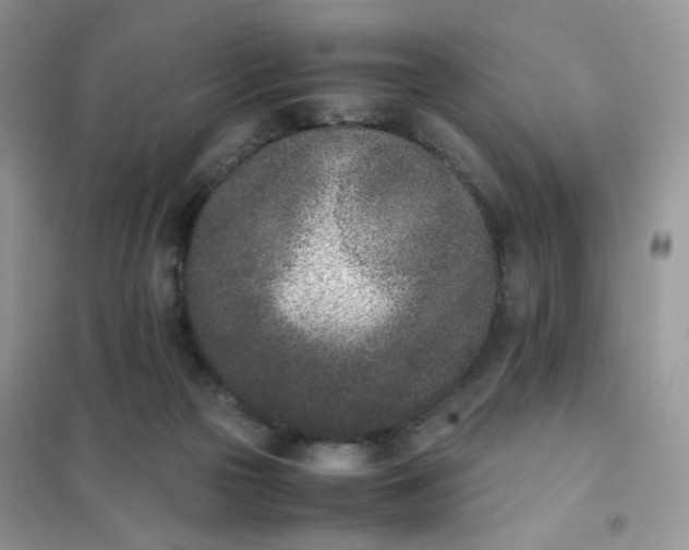 X0000102030169200808011456