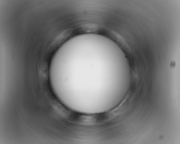 X0000102030170200808011456