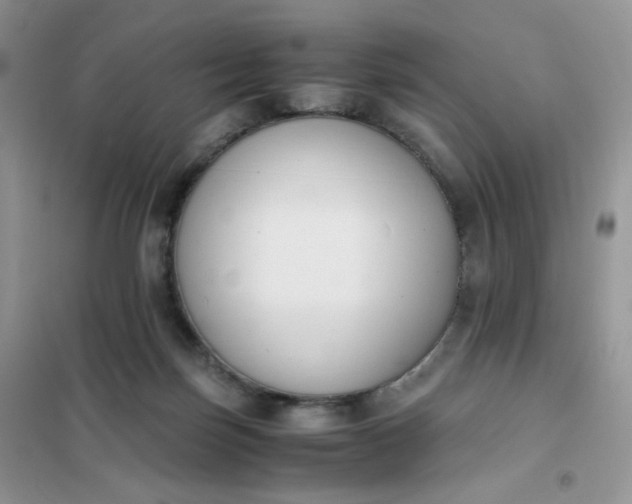 X0000102030171200808011456