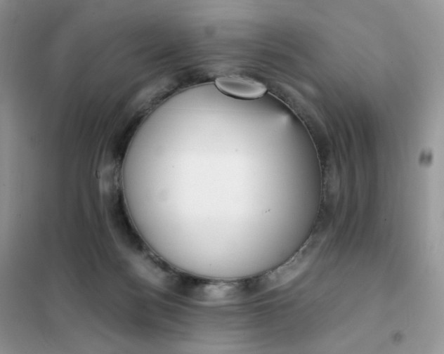 X0000102030172200808011456