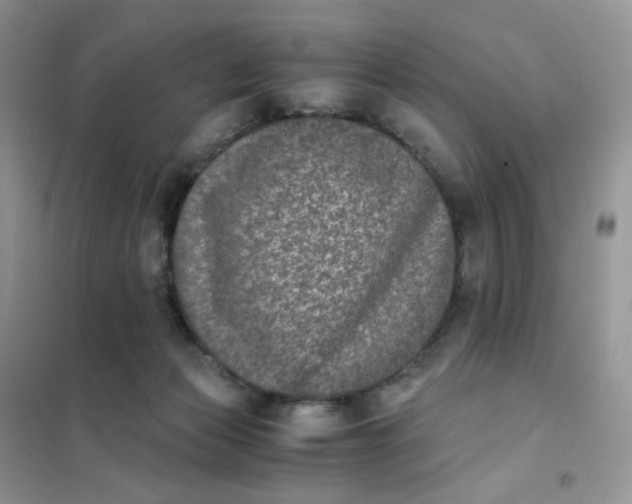 X0000102030173200808011456