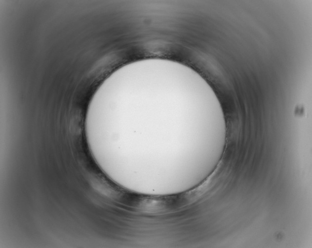 X0000102030174200808011456