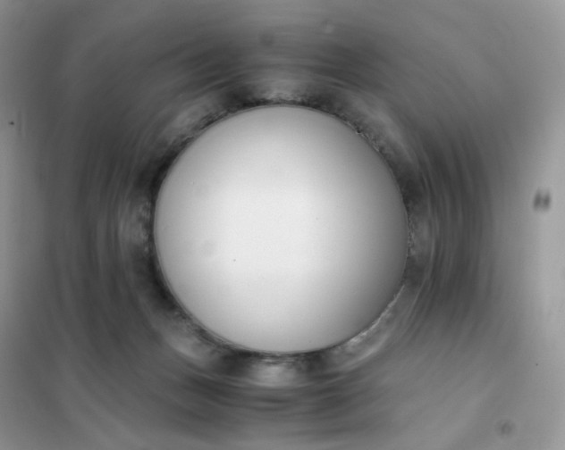 X0000102030175200808011456