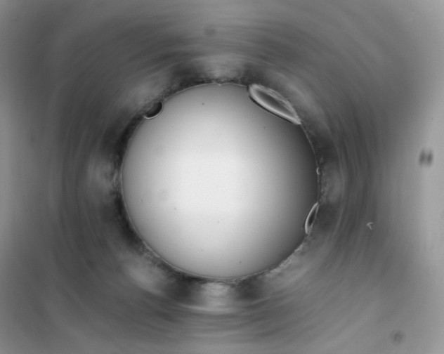 X0000102030176200808011456