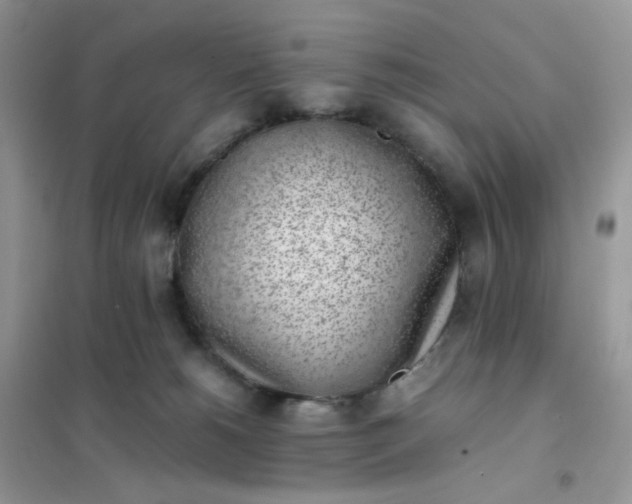 X0000102030180200808011456