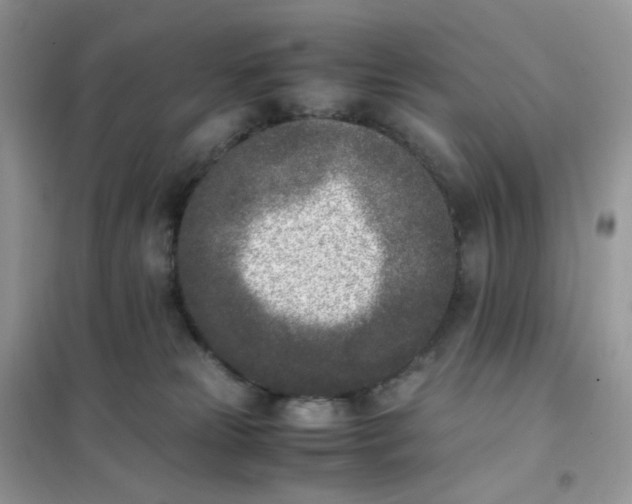 X0000102030181200808011456