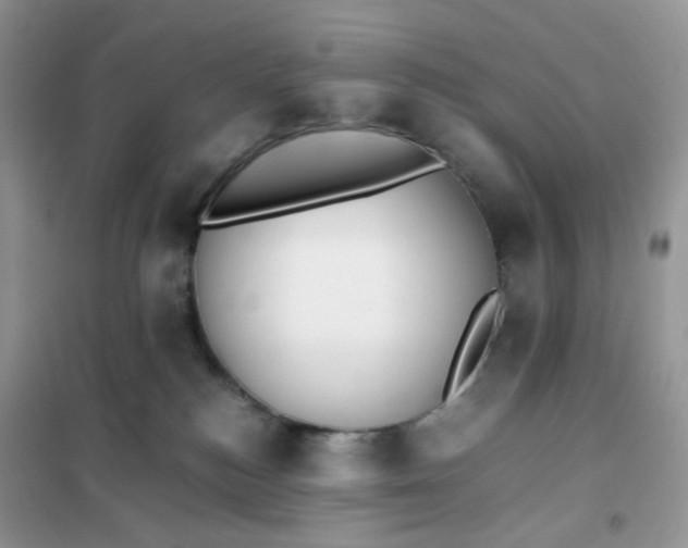 X0000102030184200808011456