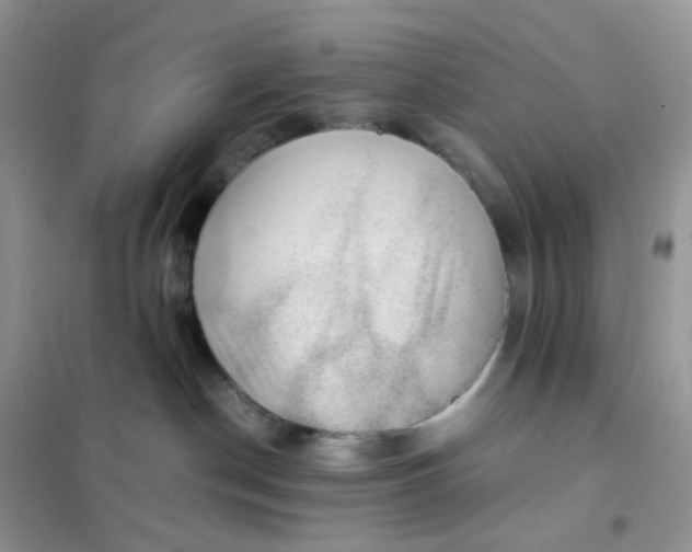 X0000102030190200808011456