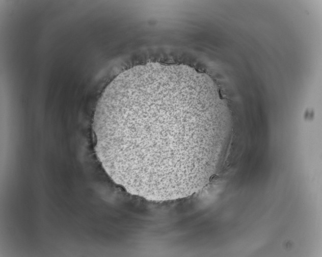 X0000102030192200808011456