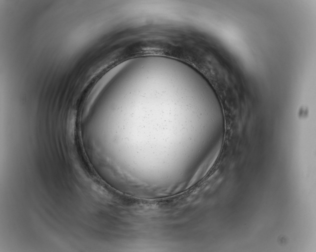 X0000102030194200808011455