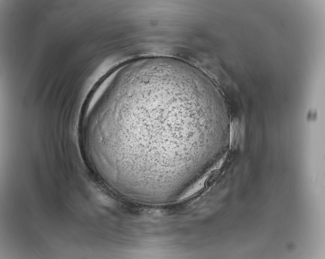 X0000102030195200808011455