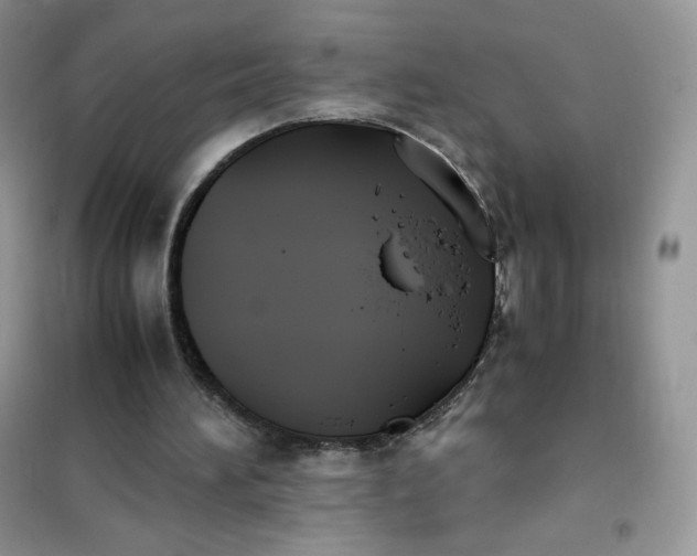 X0000102030196200808011455