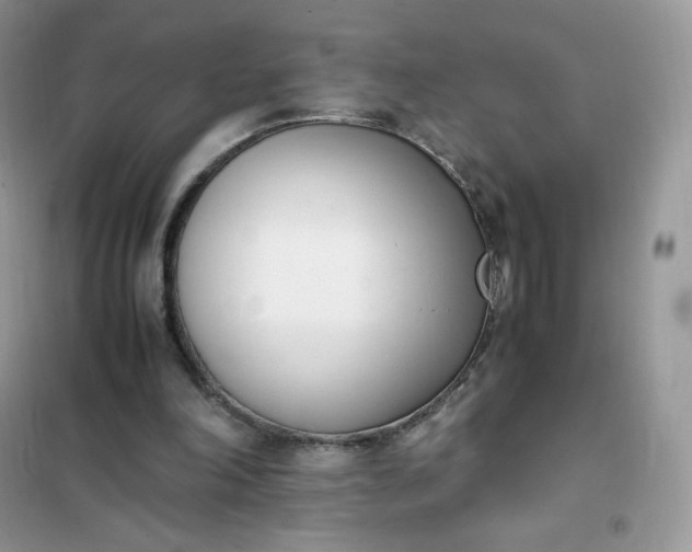 X0000102030198200808011455