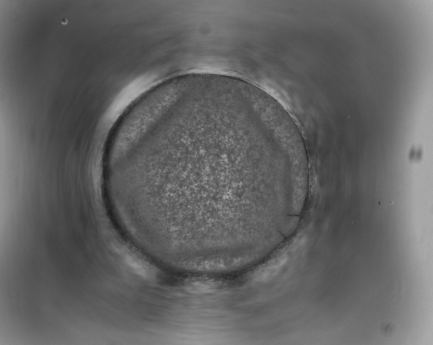 X0000102030199200808011455