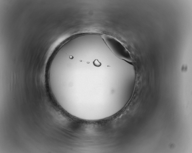 X0000102030200200808011455