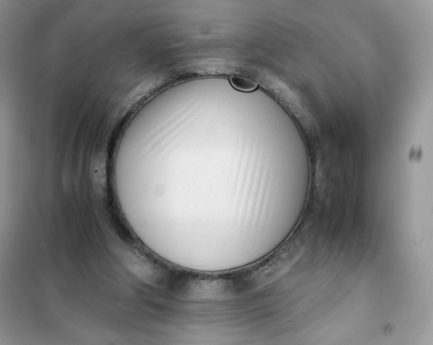 X0000102030202200808011455