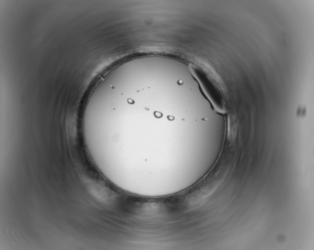 X0000102030204200808011455