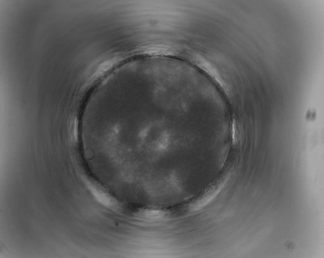 X0000102030205200808011455