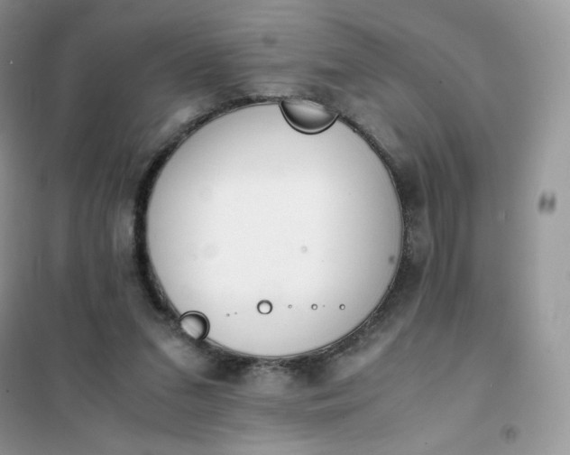 X0000102030207200808011455