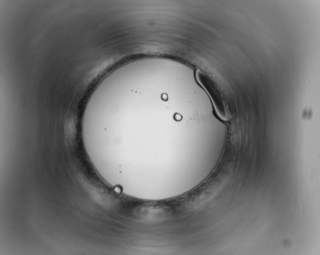 X0000102030208200808011455